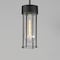 Maxim Lighting Millennial Outdoor Hanging Pendant, Black 30587CDBK - alternate 4